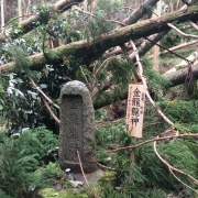 台風が過ぎて