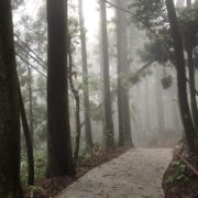 台風のあとは