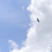 雨が上がると