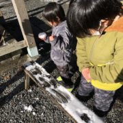 ミニ雪ダルマ