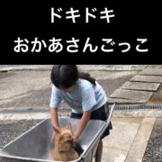 お母さんごっこ