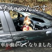 愛車が動かない