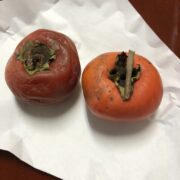熟した柿