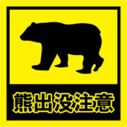 クマ騒動