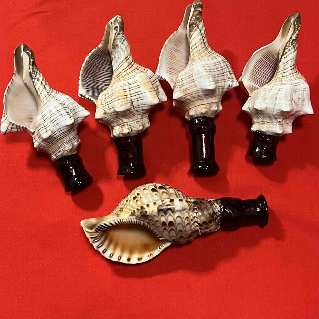 ミニ法螺貝 - 宝池寺 八大龍王宮