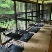 猫用品とボランティアさん募集中