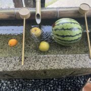 果物を冷やす