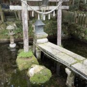 池には守神