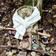 タヌキさん冬支度