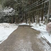 １１時３０位に開始します