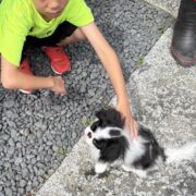 小さいお友達