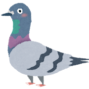 鳩のつがい