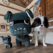 でり丸くん