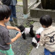小さいお友達ができたよ